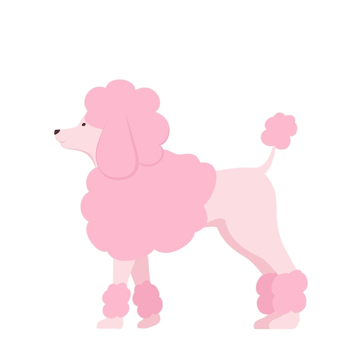 Vetor poodle rosa
