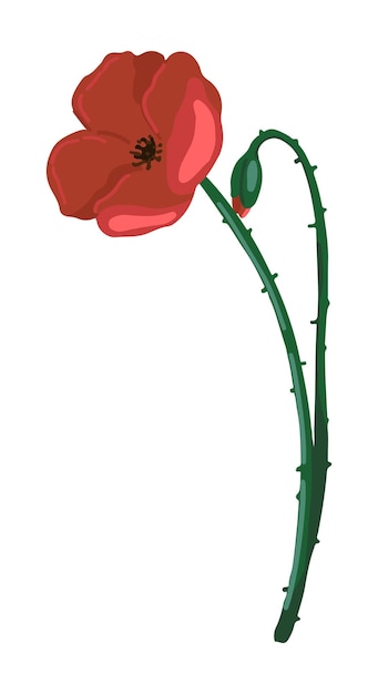 Poppy clipart doodle de flores silvestres de verão ilustração de botânica vetorial dos desenhos animados desenho de estilo contemporâneo isolado no branco