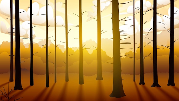 Pôr do sol na floresta, tronco de árvore sombreado, papel de parede vetorial