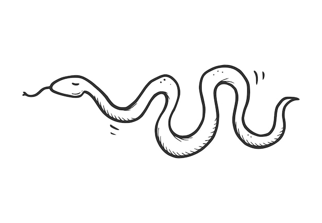 Como Desenhar Uma Cobra Passo A Passo 🐍 Desenhar Cobra Fácil 