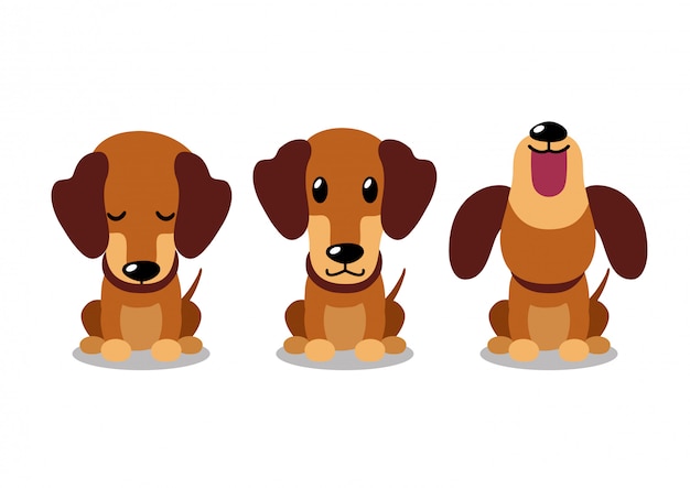 Vetor poses de cachorro dachshund de personagem de desenho animado