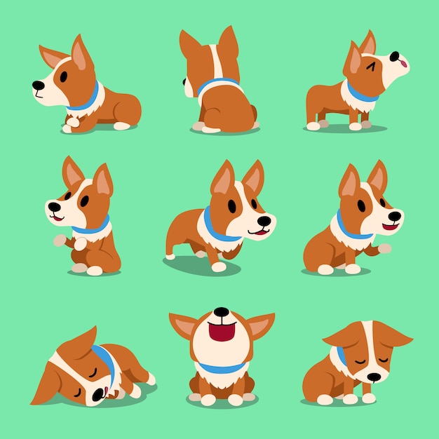 Poses de cão de corgi de personagem de desenho de vetor