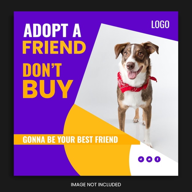 postagem de mídia social para animais de estimação, design de modelo de postagem do instagram