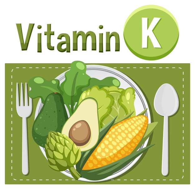 Vetor poster educacional alimentos contendo vitamina k
