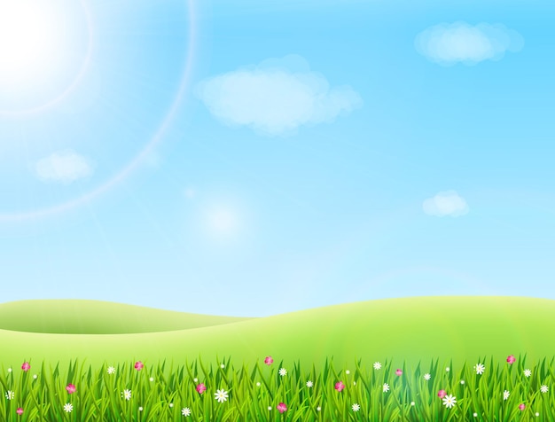 Prado de verão com ilustração de grama verde