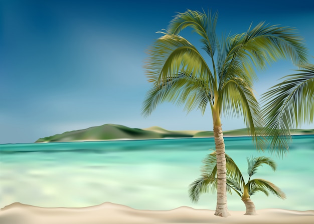 Vetor praia de areia branca com palmeiras