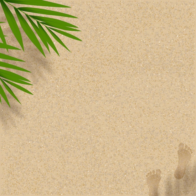 Praia de areia com folhas de palmeira e pegadas