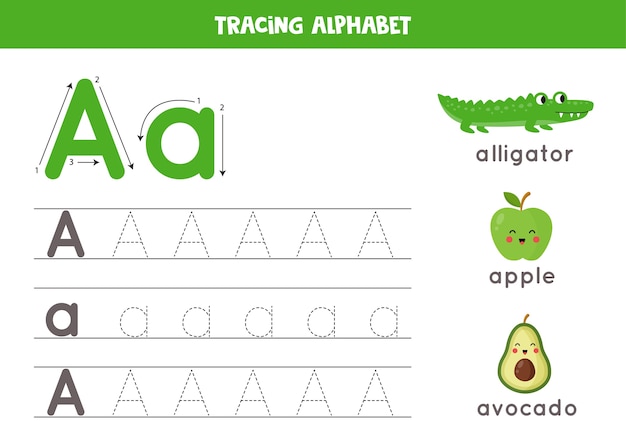 Vetor prática básica de escrita para crianças do jardim de infância. planilha de rastreamento do alfabeto com todas as letras az. traçando maiúsculas uma letra a minúscula com crocodilo bonito dos desenhos animados, maçã, abacate. jogo educativo.