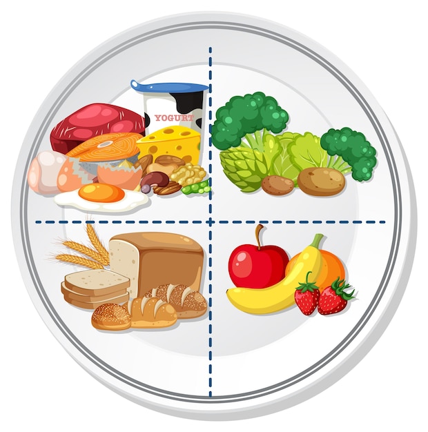 Vetor prato de alimentação saudável com porções equilibradas