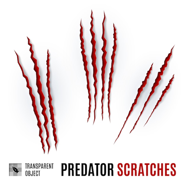 Predator Scratches