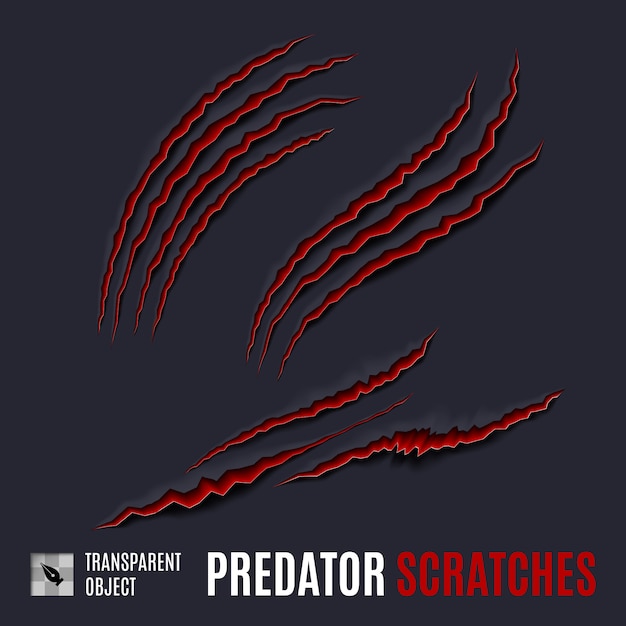 Vetor predator scratches