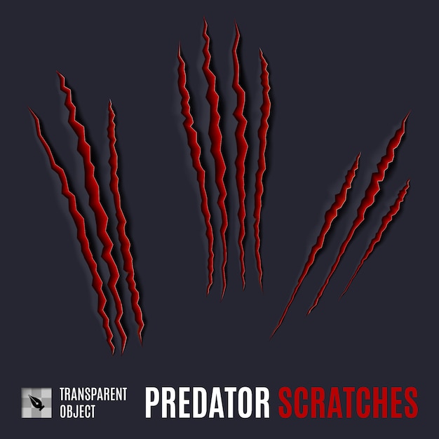 Predator scratches