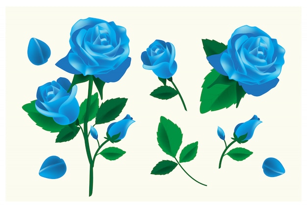 Prêmio de flor rosa azul