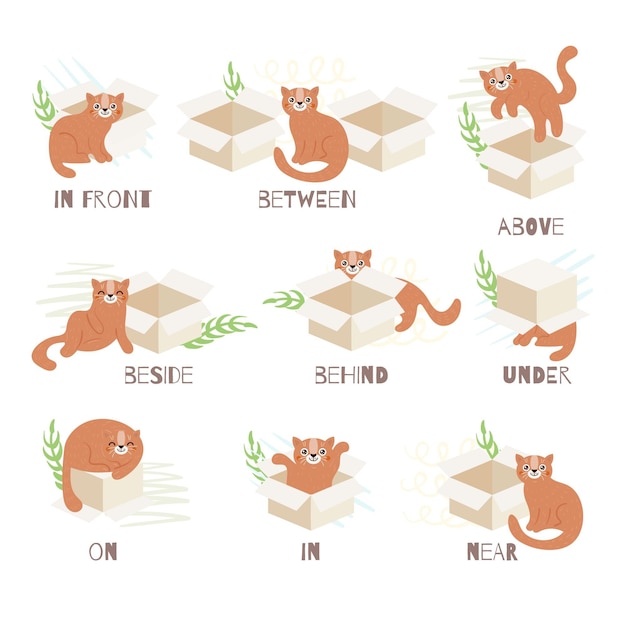 Preposições inglesas com gato ilustrado fofo