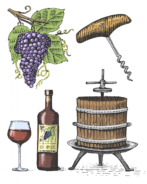 Pressione para uvas esboçar saca-rolhas vinho garrafa e copo em estilo vintage, ilustração em xilogravura gravada