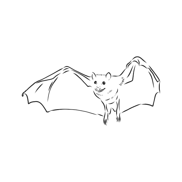 Preto e branco voando morcego vampiro de halloween, desenho ilustração vetorial de estilo isolada no fundo branco. desenho a mão, desenho de morcego vampiro voando com asas abertas, objeto de halloween