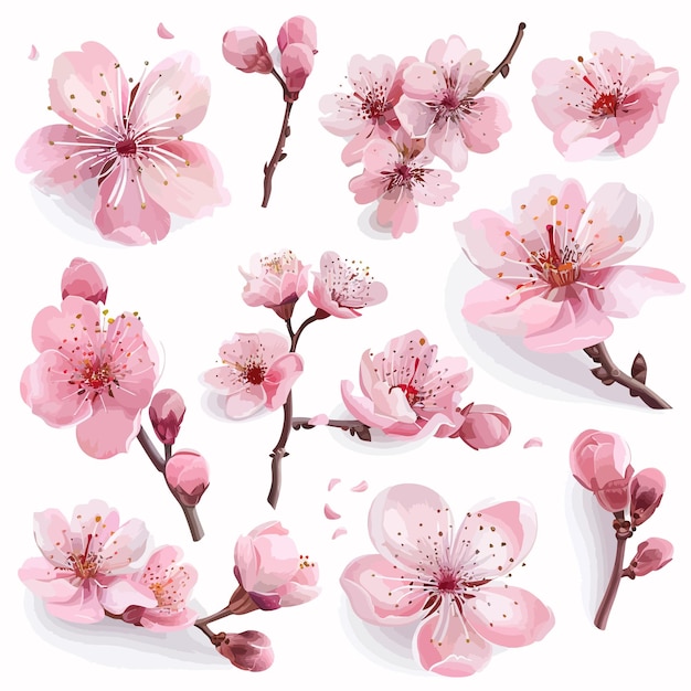 Vetor primavera_sakura_cereja_florescência_flores_rosas_pétalas
