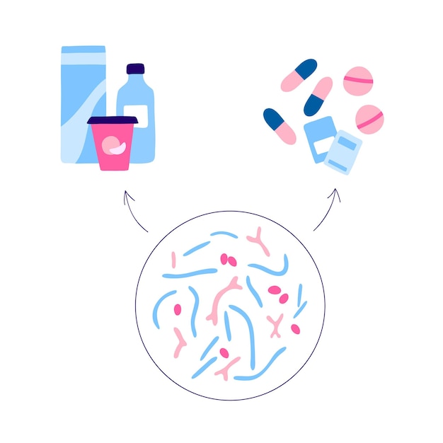 Vetor probióticos. bactérias patogênicas e benéficas mais comuns. ilustração do vetor da microbiota intestinal humana