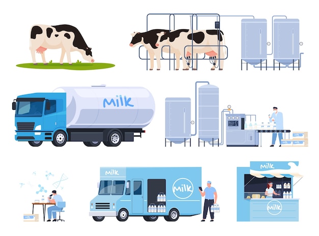 Vetor processos de produção de leite as vacas dão leite às pessoas, pasteurizam e vendem produto útil ecológico saudável ilustração em vetor