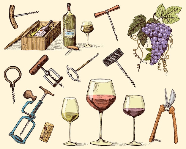 Vetor produtos de colheita de vinho prensam uvas vinhas saca-rolhas copos garrafas para menus e sinalização no bar gravado à mão desenhado em estilo vintage de esboço antigo para etiqueta ou camiseta