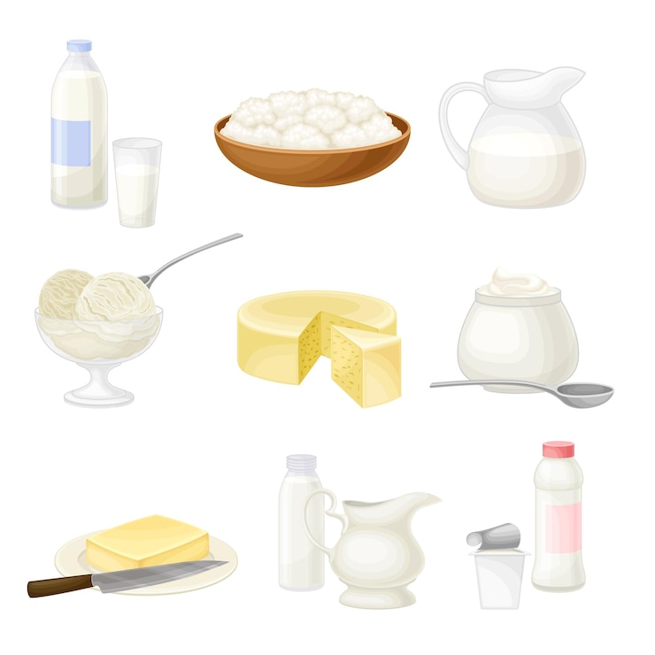 Vetor produtos lácteos com creme azedo em tigela set vetorial de queijo e iogurte