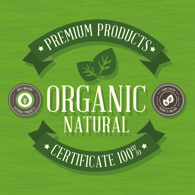 Vetor produtos orgânicos e naturais