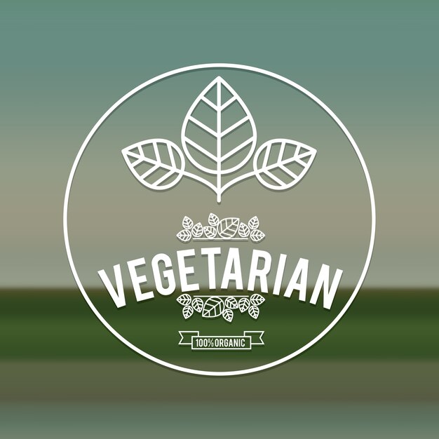 Vetor projeto de comida vegetariana