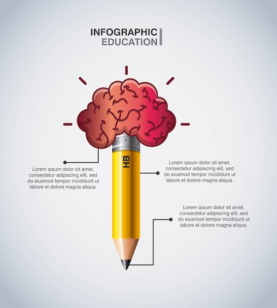 Projeto de educação infográfico