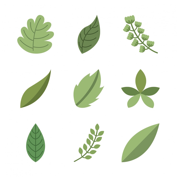 Vetor projeto de flores sobre ilustração vetorial de fundo branco
