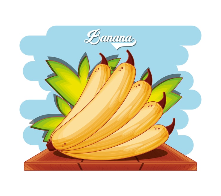 Vetor projeto de ilustração de vetor de comida saudável de banana de fruta