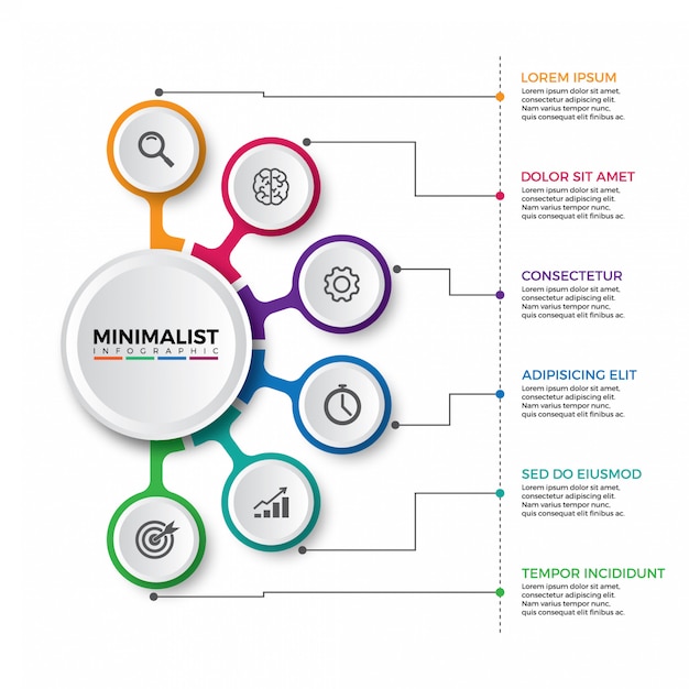 Projeto de infográficos colorido timeline