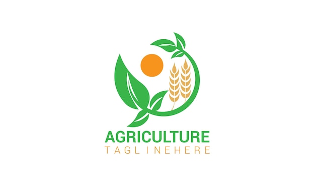 Vetor projeto de logotipo vetorial para agricultura agronomia quinta de trigo campo de agricultura rural colheita natural