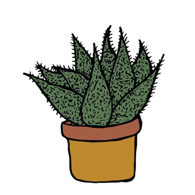 Projeto de objeto isolado de planta de cacto