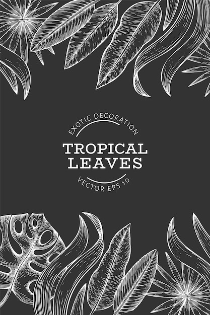 Projeto de plano de fundo de plantas tropicais. mão desenhada verão tropical exótico deixa ilustração no quadro de giz. folhas de selva, folhas de palmeira estilo gravado.