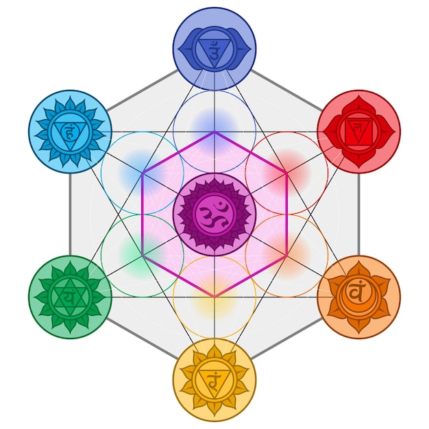 Vetor projeto de vetor metatron com símbolo de chakra