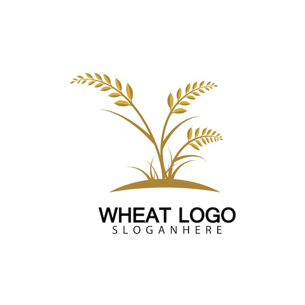 Projeto do ícone do vetor do modelo de logotipo do trigo agricultura