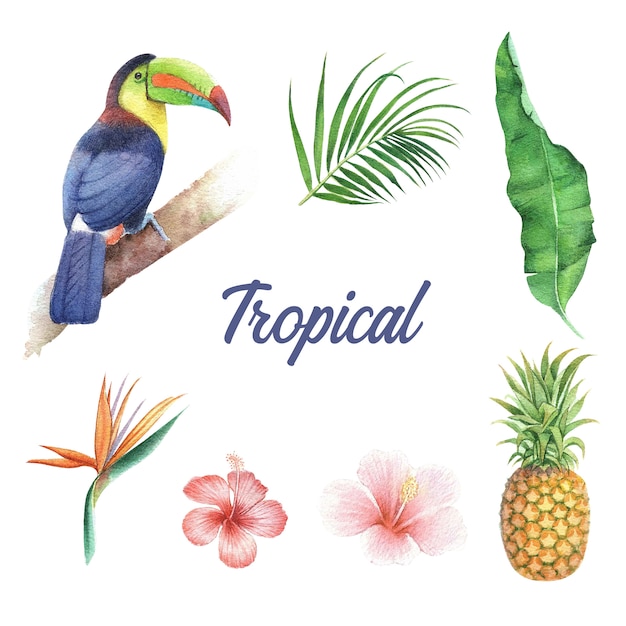 Vetor projeto tropical com folhagem e pássaro, ilustração vetorial.