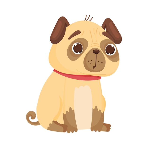 Pug surpreso senta ilustração vetorial de vista direita em fundo branco