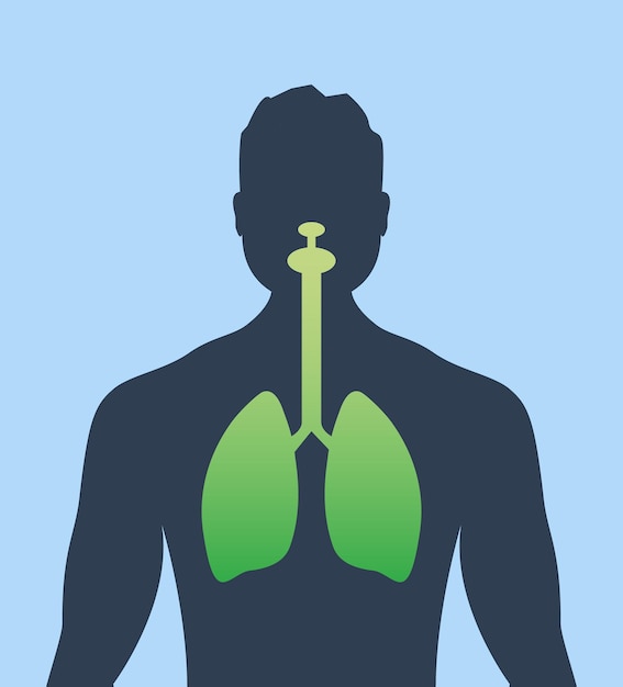 Vetor pulmão ícone humano sistema respiratório pulmões saudáveis anatomia ícone de órgão médico plano