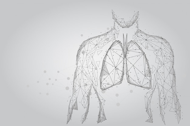 Pulmões saudáveis de silhueta de homem conectado pontos wireframe poli baixa. médico online medicina do dia mundial da tuberculose