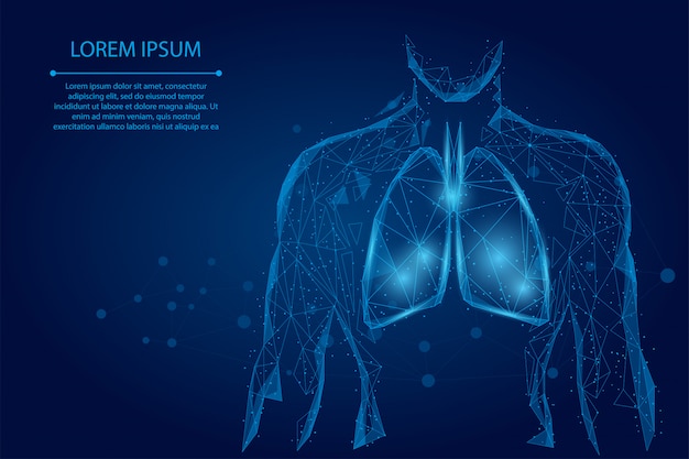 Vetor pulmões saudáveis de silhueta de homem conectado pontos wireframe poli baixa