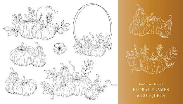 Pumpkins line art illustration outline arranjo de abóboras ilustração desenhada à mão página para colorir