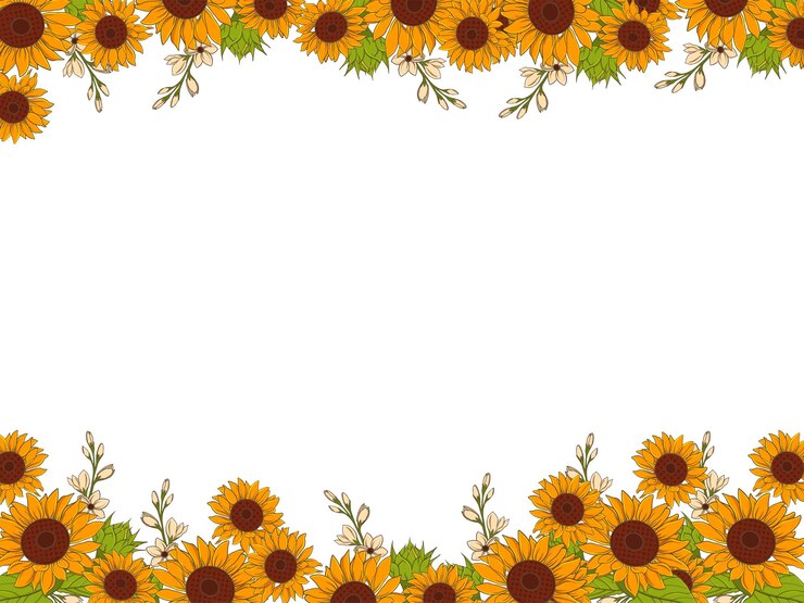 Quadrado de fronteira de flor de sol vetorial