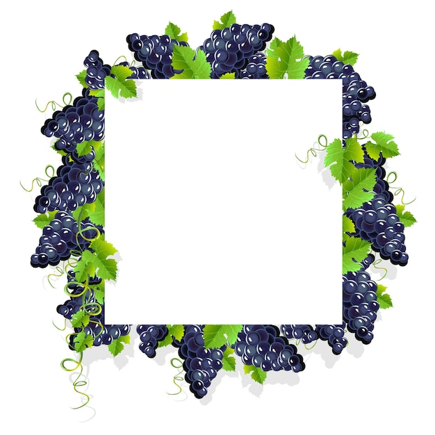 quadro com uvas pretas