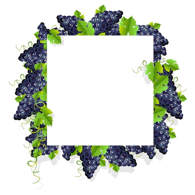 Vetor quadro com uvas pretas