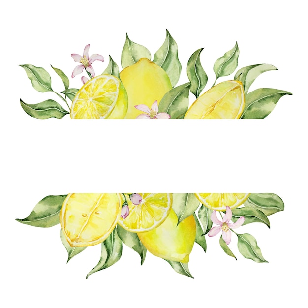 Quadro de banner de flores e folhas de limões em aquarela