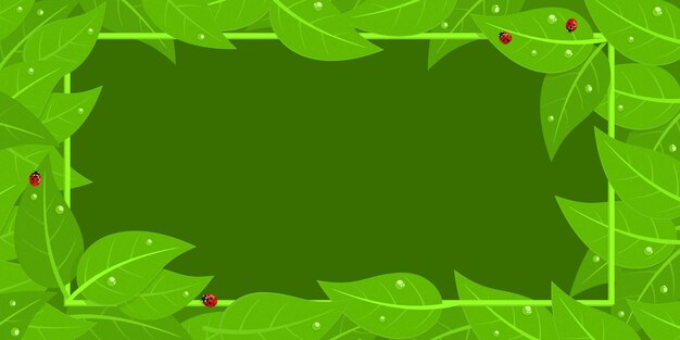 Vetor quadro de banner verde escuro com joaninhas vermelhas e folhas verdes com gotas de água isoladas fundo de ilustração vetorial