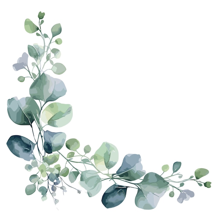 Vetor quadro de brunches de eucalipto com aquarela