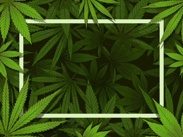 Quadro de cânhamo verde. marijuana folheia fronteira, drogas medicinais e ilustração de decoração de cannabis