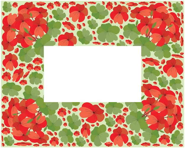 Quadro de flores frescas de gerânio vermelho bonito